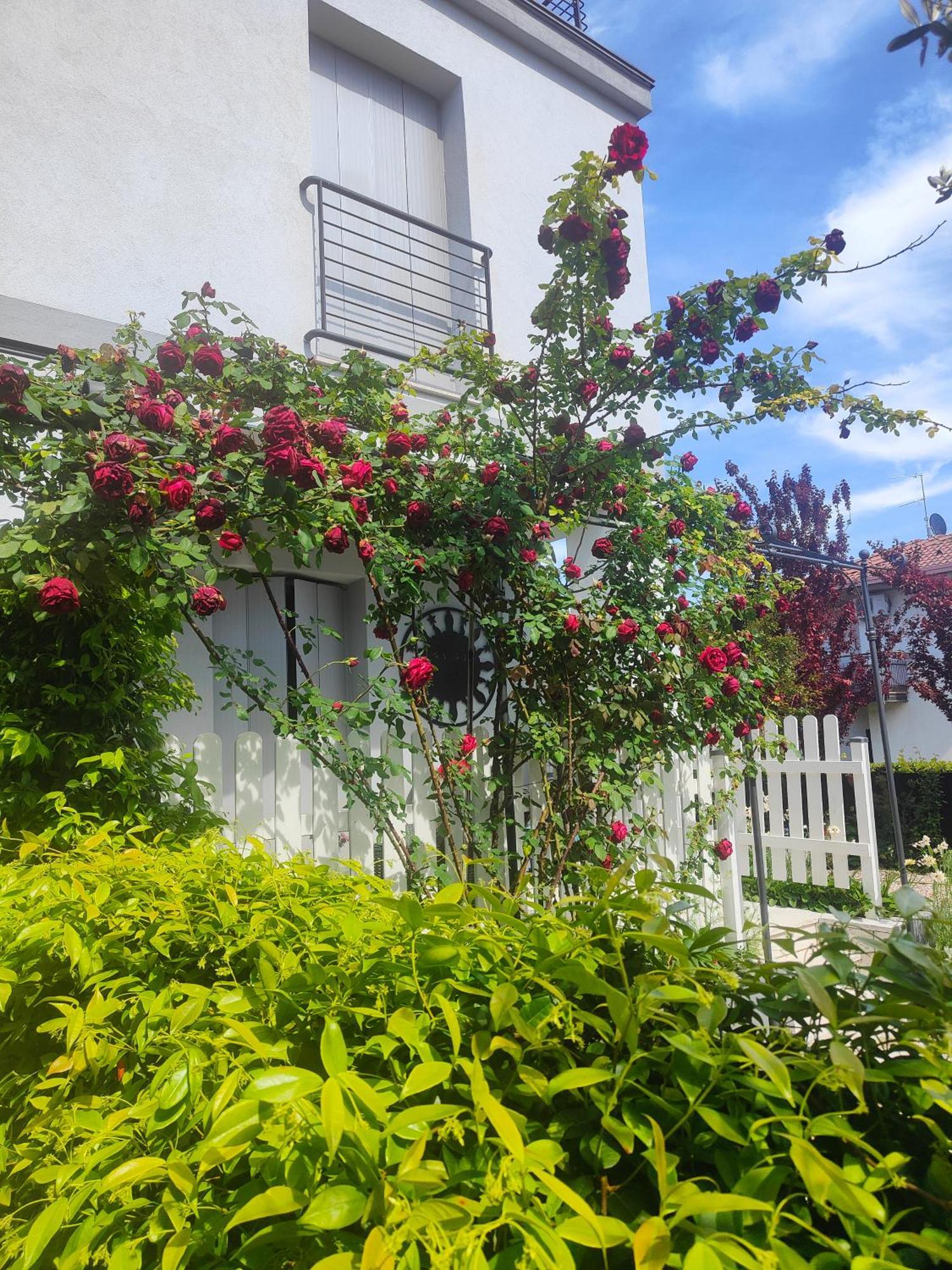 Villa Marianna Garda Lake Peschiera del Garda Luaran gambar